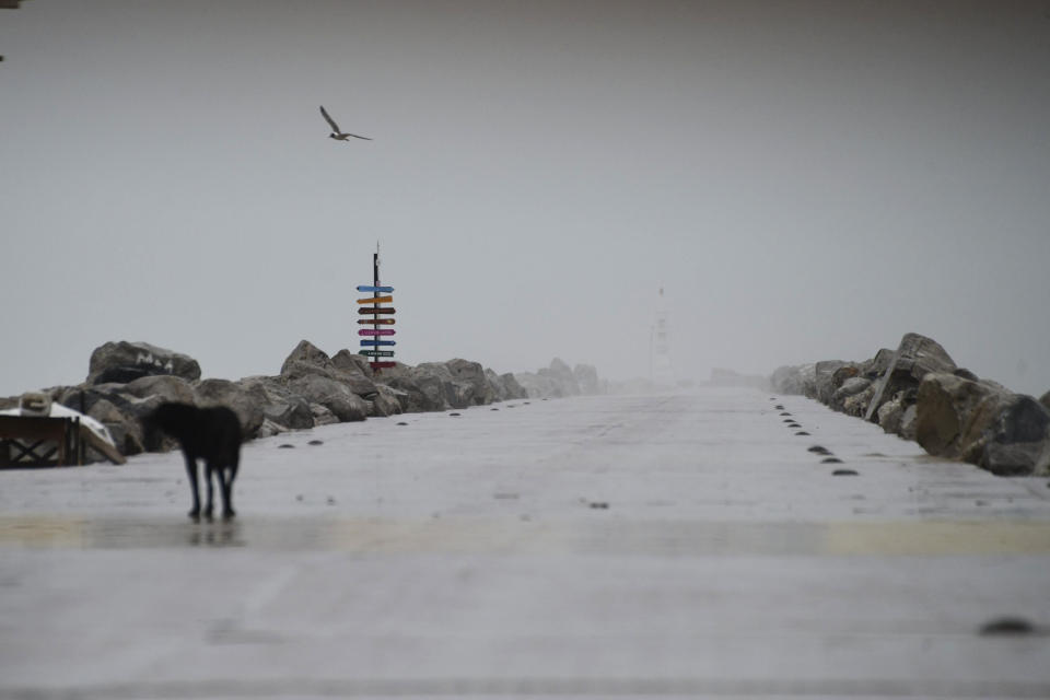 Un ave vuela por encima de un muelle desértico en Miramar, en el suroeste del Golfo de México, el miércoles 19 de junio de 2024. (AP Foto/Fabian Melendez)