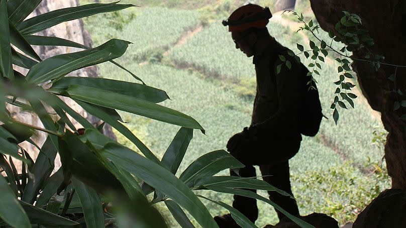 Abertura de una cueva en la que se encontraron fósiles de Gigantopithcus blacki, con vistas a la llanura aluvial de la región de Guangxi, en el sur de China.