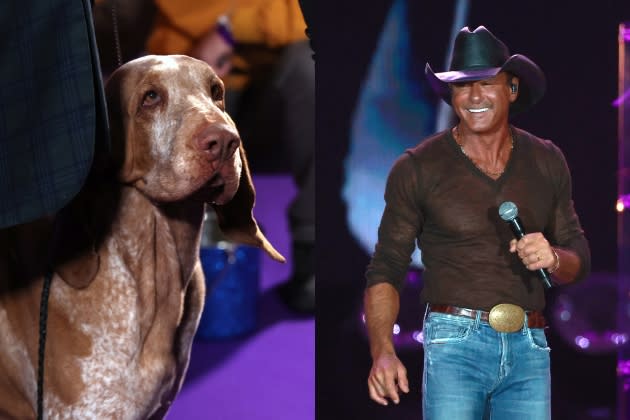 tim-mcgraw-dog-westminster-lepshi.jpg tim-mcgraw-dog-westminster-lepshi - Credit: Cindy Ord/Getty Images; Mike Lawrie/WireImage