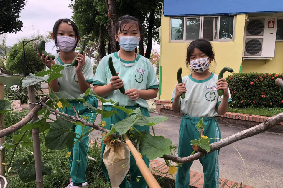 永續發展結合食農教育讓學生親自種植蔬菜