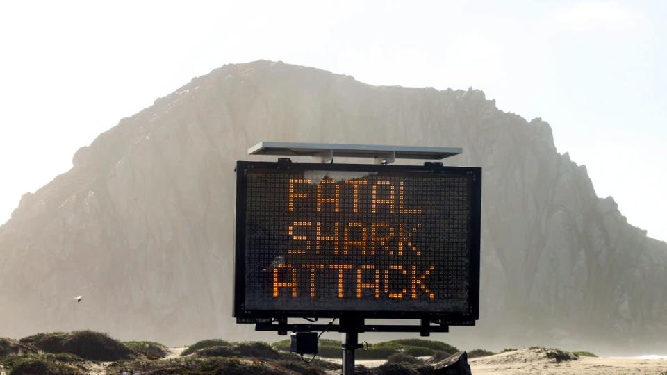 A sign warning about a shark attack in Morro Bay, California, in 2021 (AP)