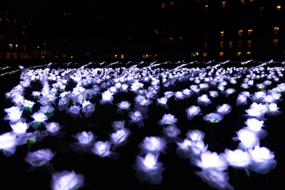 Lightscape at the Fort Worth Botanic Garden will open from Nov. 18 to Jan. 8, 2023.