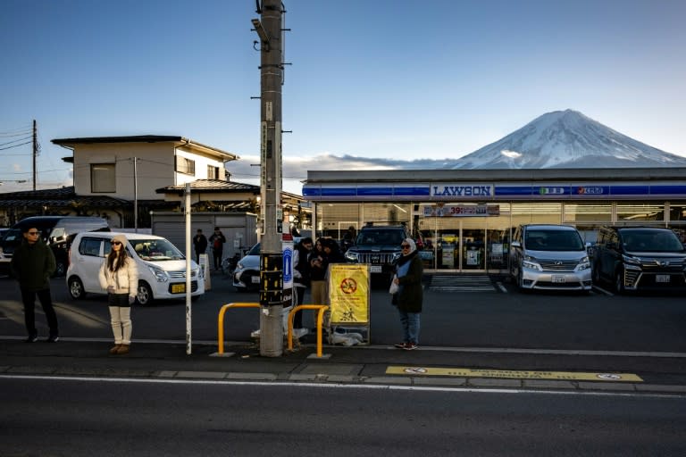 Eine schwarze Wand statt einer sagenhaften Aussicht: Mit einer Konstruktion aus schwarzem Maschennetz vor dem Gipfel des Fuji versuchen die Behörden, der Touristenmassen an einem Aussichtspunkt vor Japans höchstem Berg Herr zu werden. (Philip FONG)