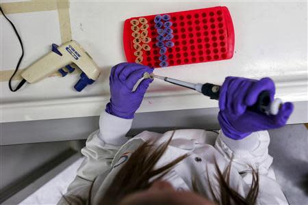 Protein analysis tubes are seen in a lab at the Institute of Cancer Research in Sutton, July 15, 2013. REUTERS/Stefan Wermuth