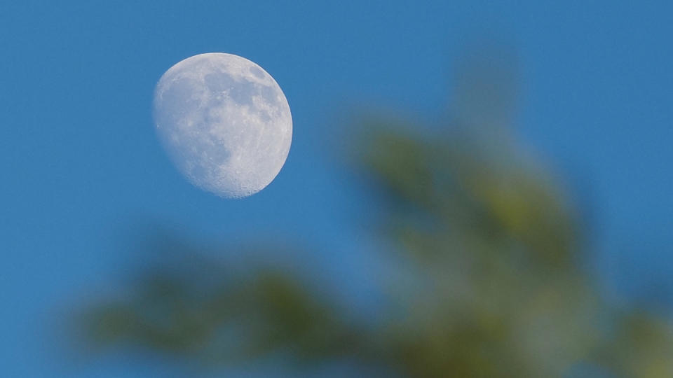 Moon is on display over The Sonoran Desert of Phoenix Arizona USA.