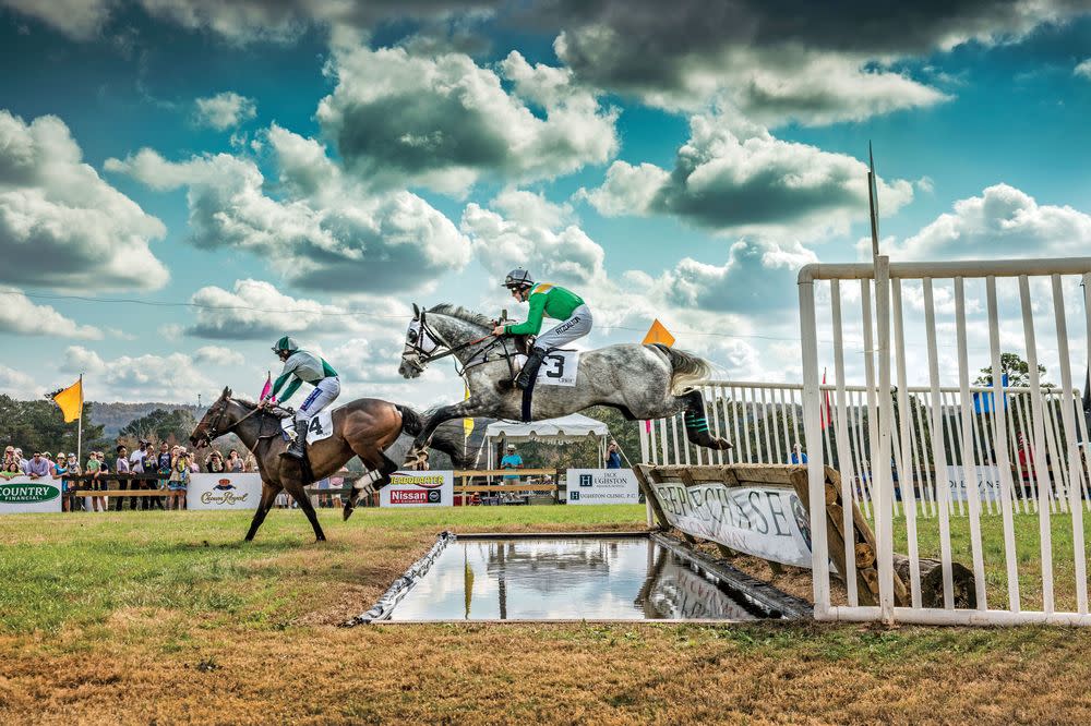 The Steeplechase at Callaway Gardens Is a Tradition You Must Experience