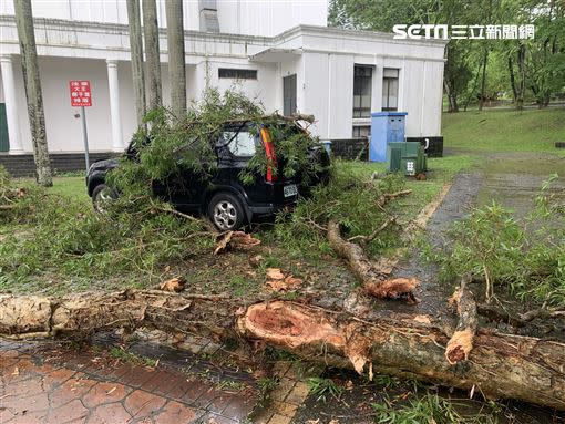 黑色休旅車陪著駐地記者四處征戰採訪，歷經無數強颱地震，未料此次卻遇上大樹釀禍。（圖／翻攝畫面）