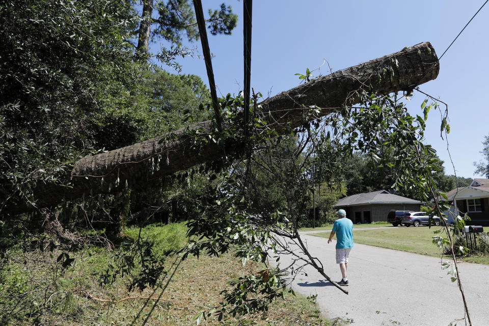 A tree brings down power and cable lines after Hurricane Dorian passed by James Island, S.C., Friday, Sept. 6, 2019. (AP Photo/Mic Smith)