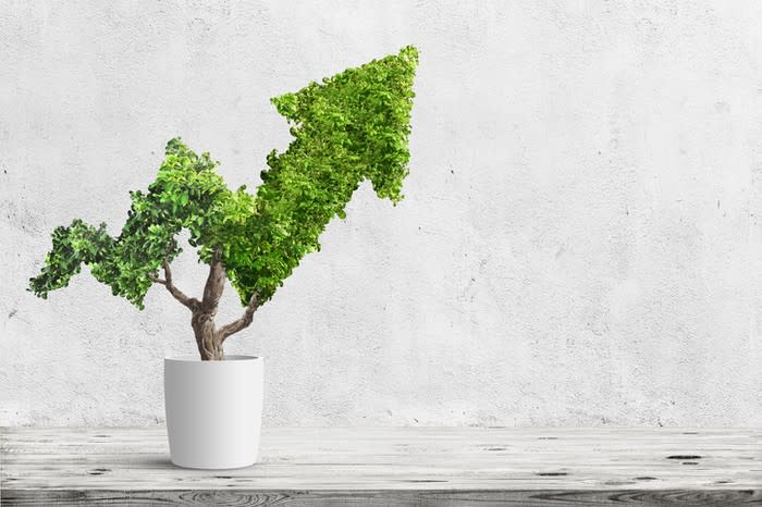 A potted plant trimmed in the shape of an arrow pointing up and to the right.