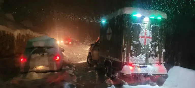 Snowstorm in Patagonia: the roof of a gym collapsed, several trees fell and there are power outages