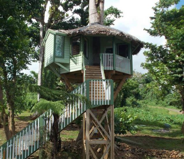 One of the guest treehouses at the Lupe Sina Tree Resort in Samoa, where the alleged attack happened. Picture: Pinterest