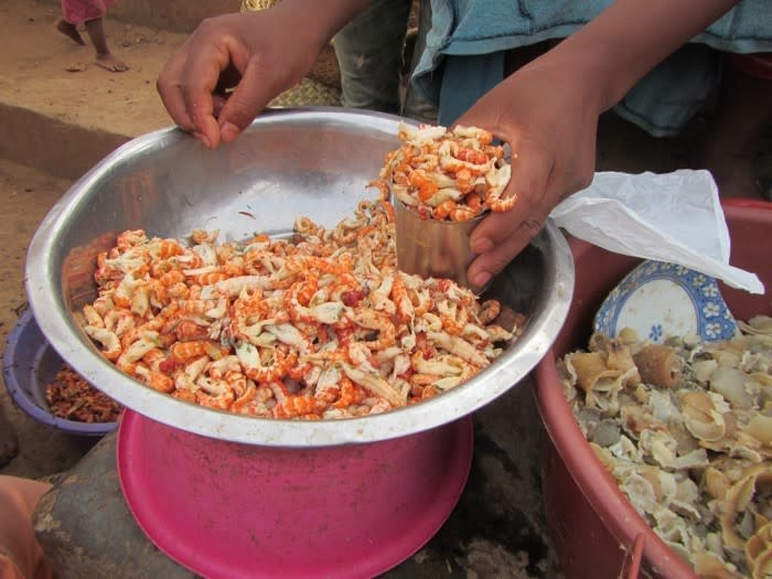 Marbled crayfish being prepared in Madagascar (Ranja Andriantsoa / Deutsches Krebsforschungszentrum)