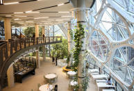 <p>Un máximo de 800 personas podrán permanecer a la vez en el interior de The Spheres, que, por supuesto, tendrá wifi en todos sus rincones. (Foto: Lindsey Wasson / Reuters). </p>