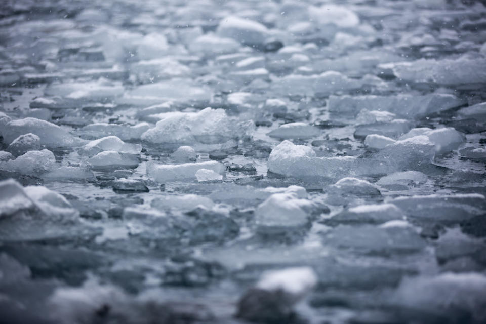 For Earth Day, we are sharing three days in the life of Tasha Van Zandt. Van Zandt is a conservation photographer focused on documenting climate change to teach its dangers. Read more to learn about Van Zandt's experience on the National Geographic Explorer ship as she films a documentary in Antarctica.