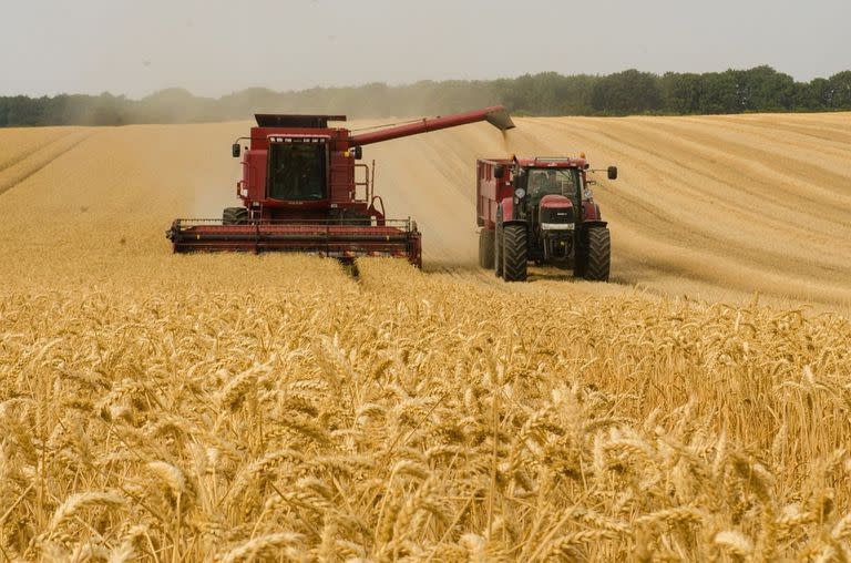 Por qué se celebra hoy el Día del Agricultor en Argentina