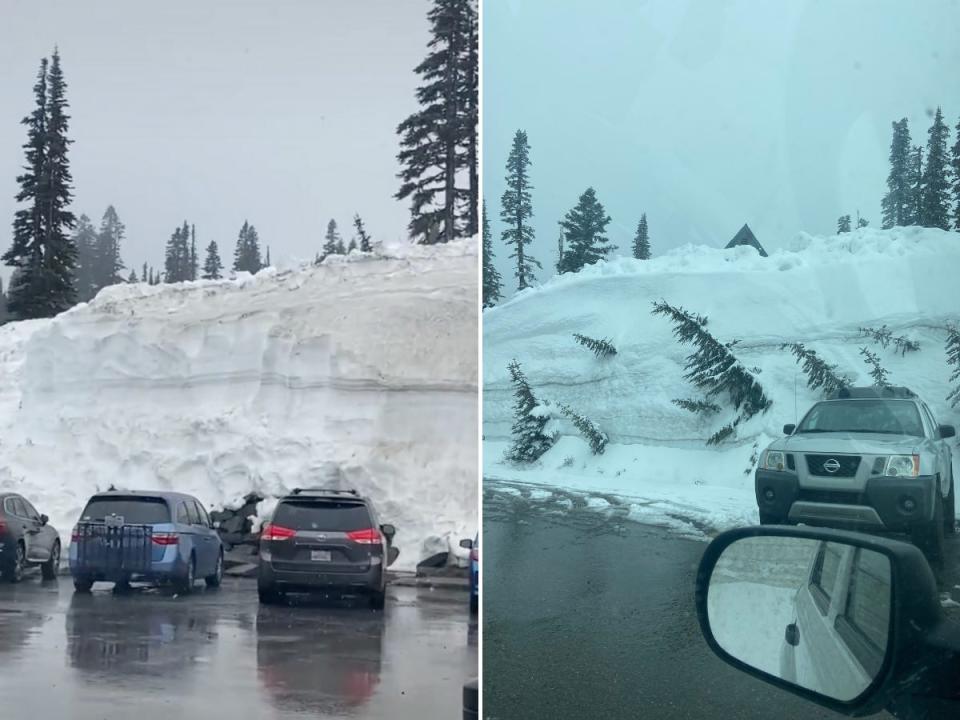 Snow towers over cars in a parking lot in Mount Rainier National Park.