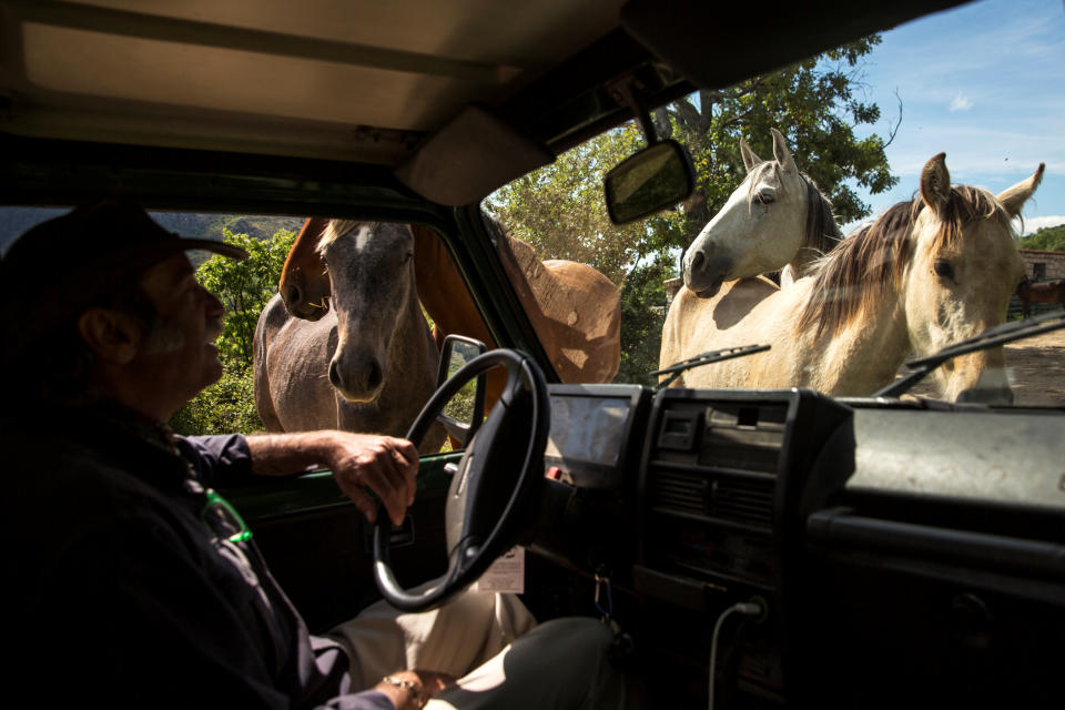 El hombre que susurra a los caballos… en España