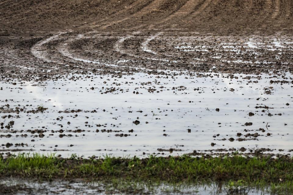 Rainwater pools in a Hancock County field in Indiana, Thursday, June 6, 2019. More than 5.5 million acres of Indiana farmland were scheduled to be planted with corn this year, but as of June 2, only 31 percent has been planted due to wet spring weather. 