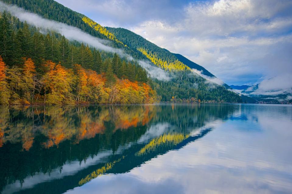 olympic national park