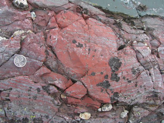 A bright red concretion of an iron-rich and silica-rich rock, which contains microfossils.