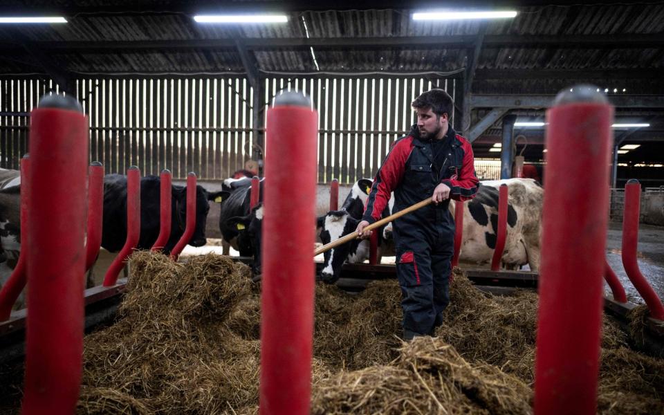 UK fertiliser CF Industries UK food supply - BEN STANSALL/AFP via Getty Images