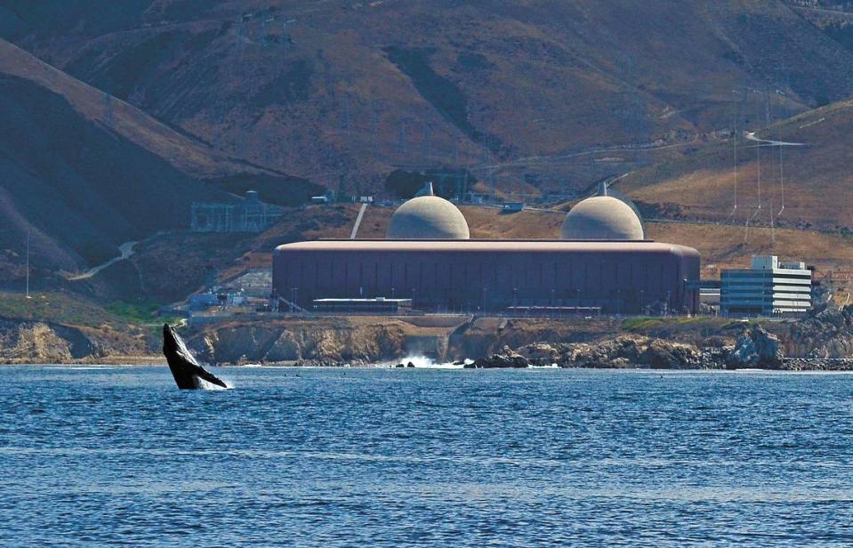 File photo of a humpback whale breaching off the shore of the Diablo Canyon nuclear power plant.