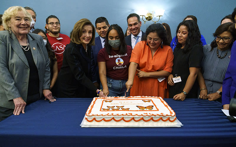 Zoe Lofgren, Nancy Pelosi, Raul Ruiz, Pete Aguilar and Norma Torres with DACA supporters cut a cake adorned with orange icing and monarch butterflies