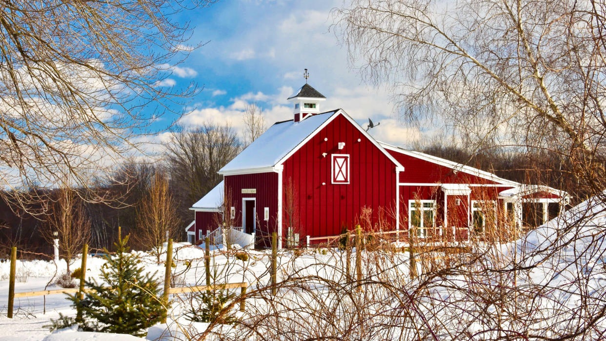 Broken Creek Vineyard in Shrewsbury, Massachusetts - Image.