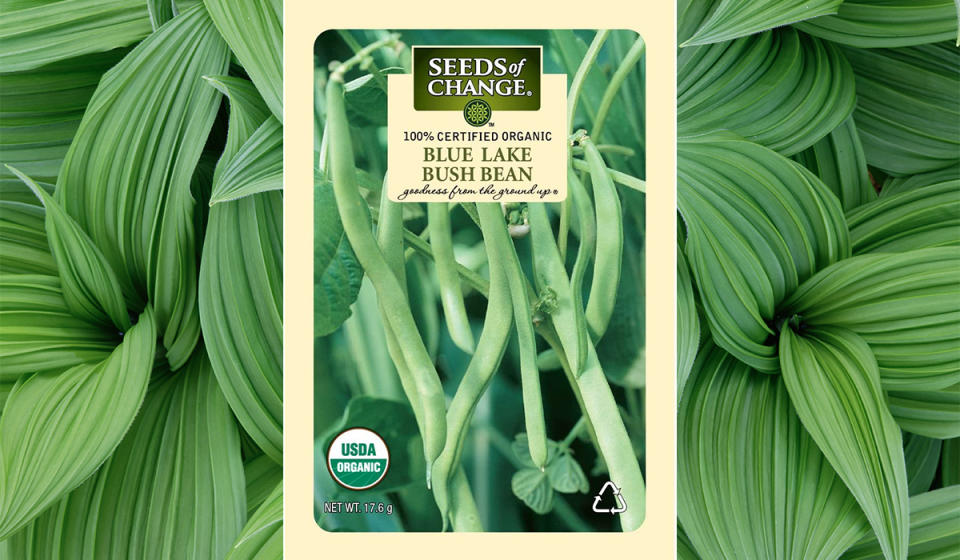 Seeds of Change Blue Lake Bush Beans (Photo: Amazon)