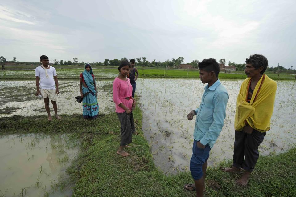 Shipra Bind, center in pink, shows the spot where her sister-in-law Khushboo was killed by lightning on July 25 in a paddy field at Piparaon village on the outskirts of Prayagraj, in the northern Indian state of Uttar Pradesh, Thursday, July 28, 2022. Seven people, mostly farmers, were killed by lightning in a village in India's northern Uttar Pradesh state, police said Thursday, bringing the death toll by lightning to 49 people in the state this week. (AP Photo/Rajesh Kumar Singh)