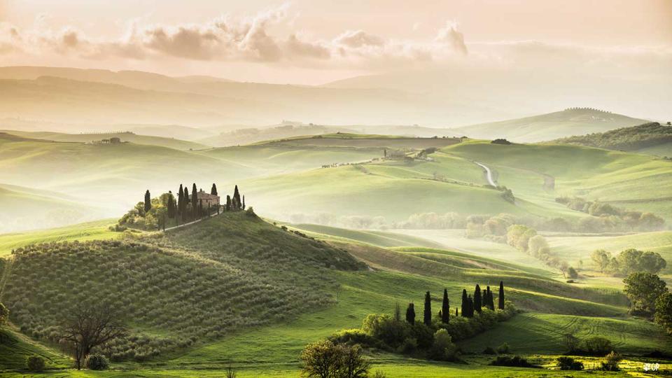 Vinos, Enología, Italia