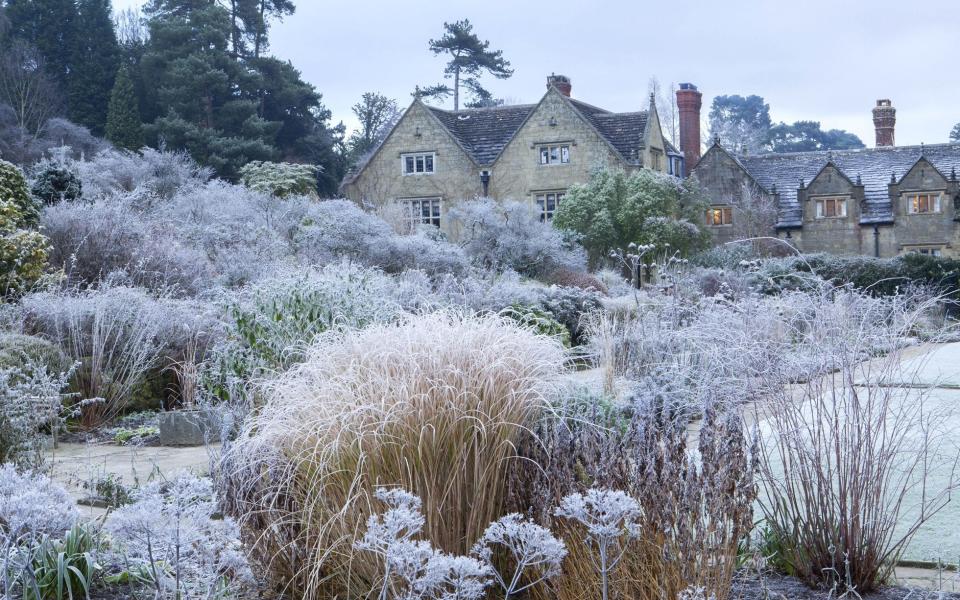 Despite the cold weather, there's still lots of vegetables to plant in December - Marianne Majerus