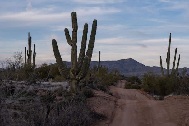 PHOTO: A saguaro-cactus lined road where new homes are being built, Jan. 7, 2023, in Rio Verde Foothills, Ariz. (The Washington Post via Getty Images)