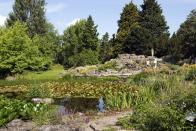 <p>If you're heading to Cambridge, be sure to pay a visit to their breathtaking botanical gardens. You'll love the scented and winter gardens, which feature plants from all around the world. Head to the glasshouse where cacti and exotic plants steal the show. </p><p><a class="link " href="https://www.botanic.cam.ac.uk/" rel="nofollow noopener" target="_blank" data-ylk="slk:BOOK NOW;elm:context_link;itc:0;sec:content-canvas">BOOK NOW</a> </p>