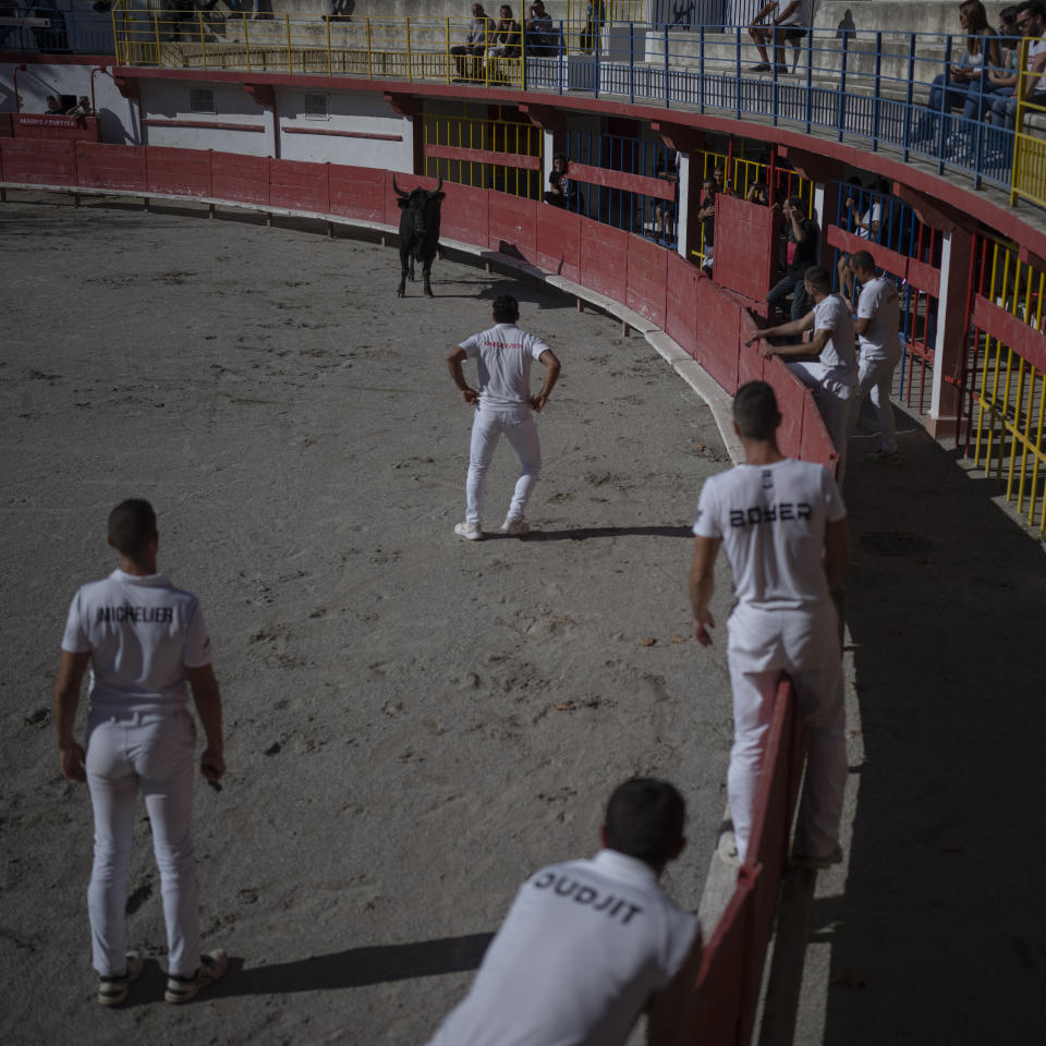 Bullfighters face off with a bull in the arena of Salin de Giraud, in Camargue, southern France, Sept. 25, 2022. (AP Photo/Daniel Cole)