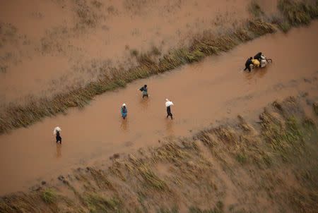 People walk through floodwater near Beira, Mozambique, in the aftermath of Cyclone Idai, March 23, 2019. REUTERS/Mike Hutchings