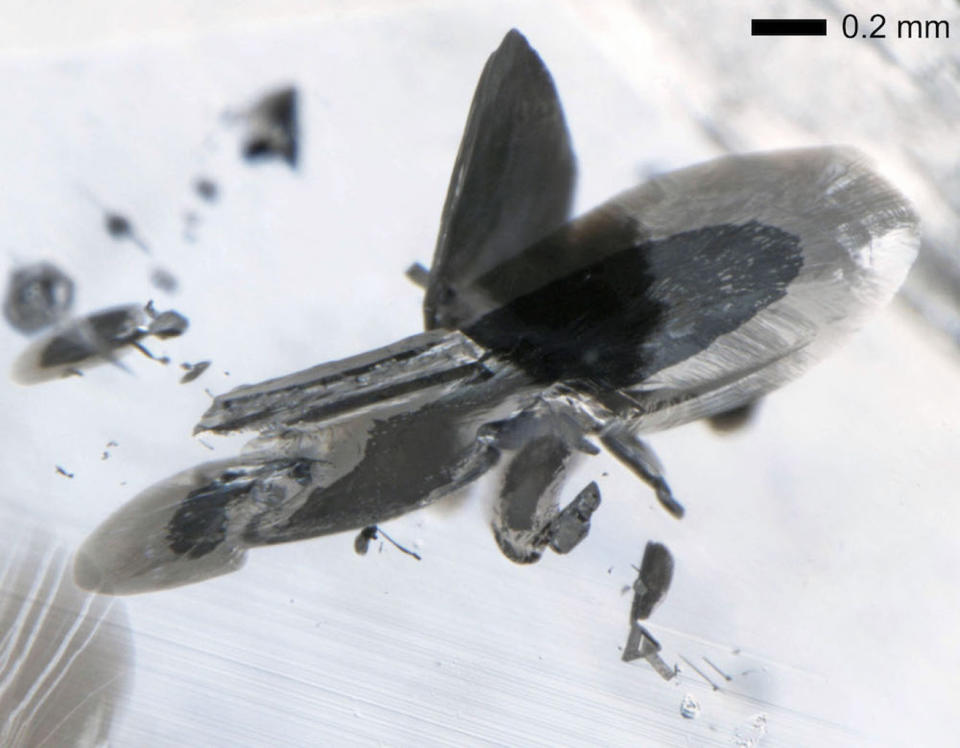 A close-up view of a metallic inclusion in a CLIPPIR diamond. The inclusion is reflective/silver in appearance, surrounded by a black, graphite-bearing decompression crack. <cite>Evan Smith</cite>