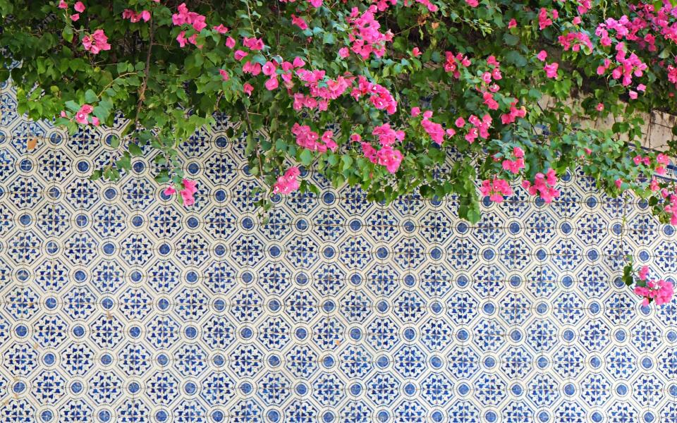 Pink bougainvillea flowers over traditional azulejo tiles - Getty