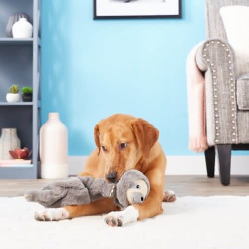 DOG TOYS FOR SENIOR DOGS — Go French Yourself