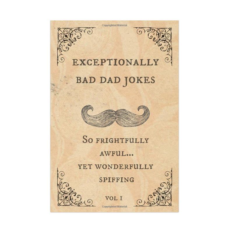 8) "Exceptionally Bad Dad Jokes" Book