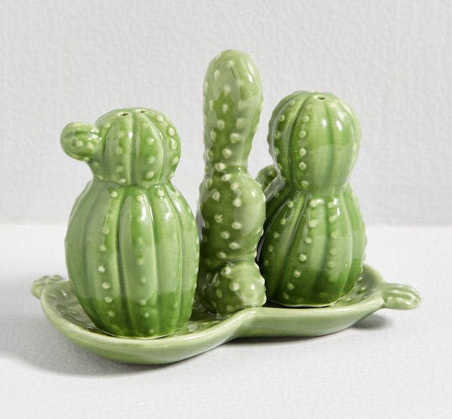 One Hundred 80 Degrees Save Room for Desert Cactus Shaker Set 