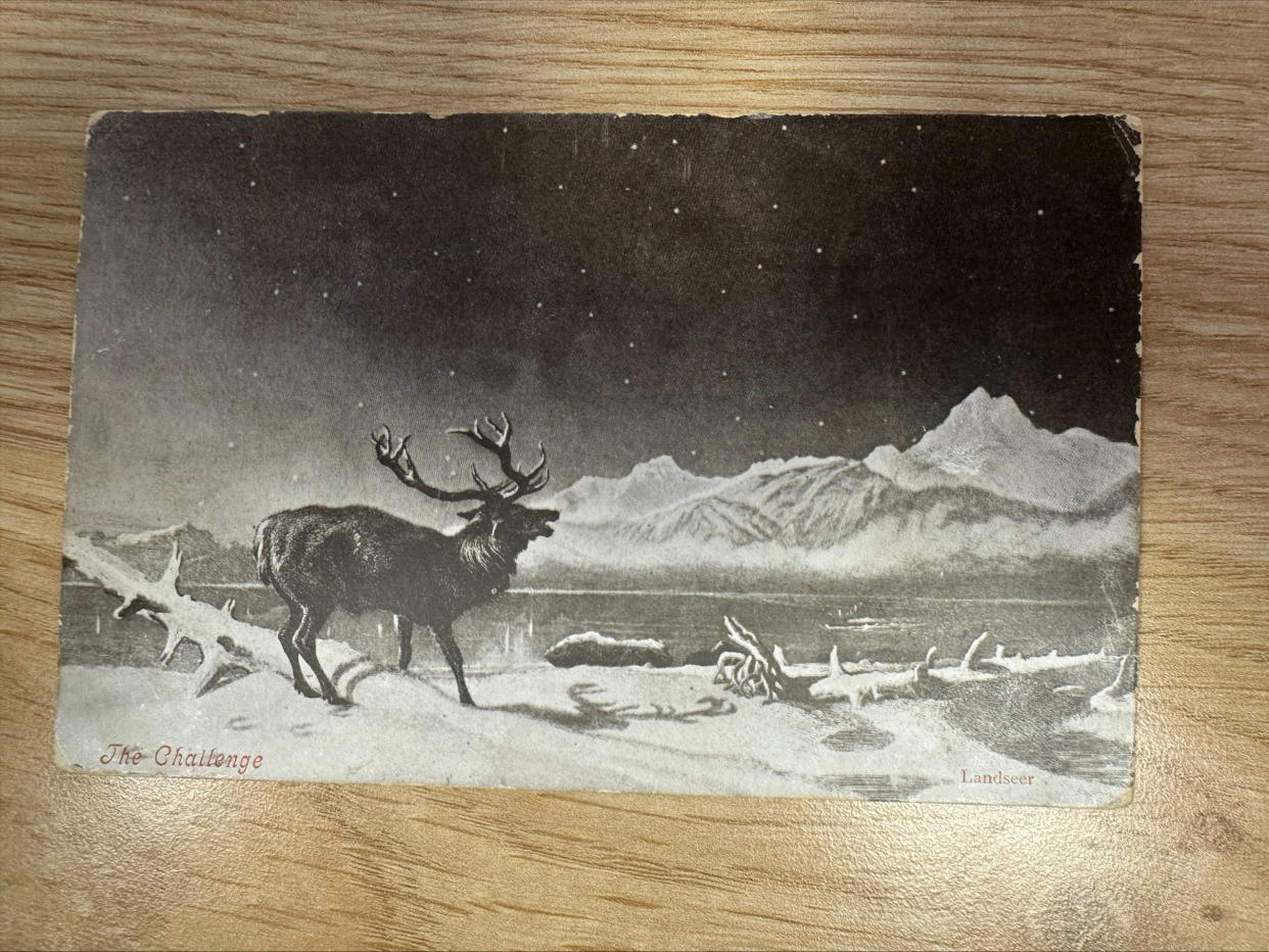 Postcard with a black and white image of a stag stood against a snowy mountainous backdrop