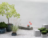 <p> This container garden designed by Mika Misawa at the 2021 RHS Chelsea Flower Show demonstrates how rocks can be used in a small, contemporary setting.&#xA0; </p> <p> The area of this space is just 10x13ft and Mika has used fragments of nature to create a minimalist, contemporary space which makes you feel connected to wider nature. </p> <p> This design shows how important it is not to cram too much into your small rock garden. In her scheme, Mika applied the Japanese garden idea of &apos;Ma&apos; which is about considering the negative space or &apos;space in between&apos;. In other words, the gaps in your space are just as important as the areas which have been filled.&#xA0; </p> <p> So when designing your modern rock garden ideas in a small space, try to leave areas free and uncluttered for a truly minimalist look. </p>