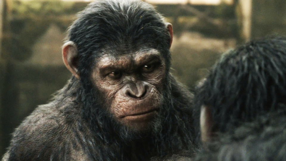 Caesar from Planet of the Apes is just one of the studio's efforts. Photo: Supplied