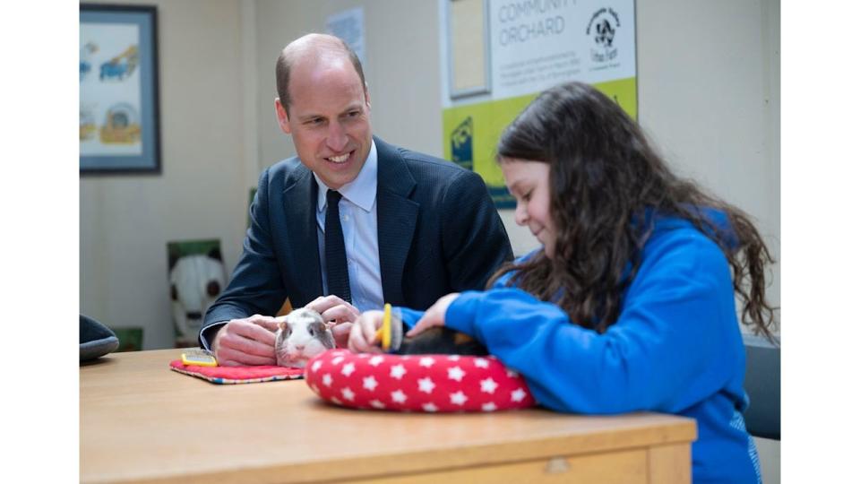 prince william stroking guinea pigs 