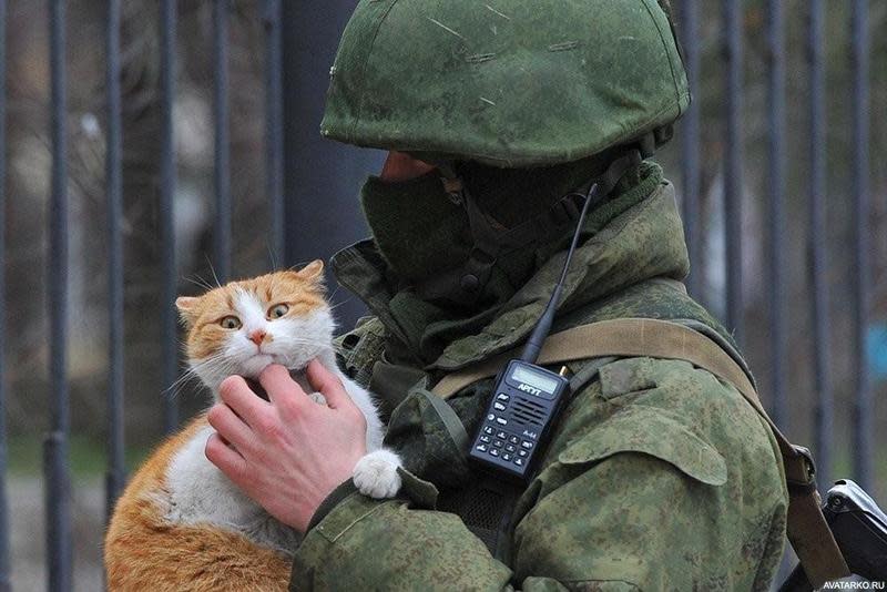 俄羅斯侵略烏克蘭遭到國際制裁，沒想到就連貓咪也因而受到影響。圖為俄羅斯士兵與一隻貓。（翻攝AnnetPeaceful推特）