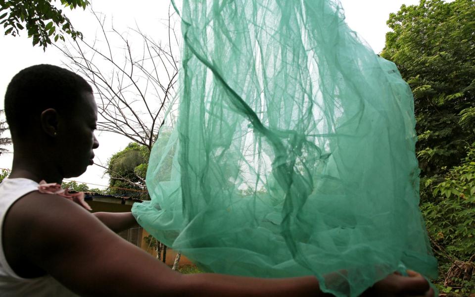 A woman dries a bed net at the entrance to her home in Biaka, the Ivory Coast - REX