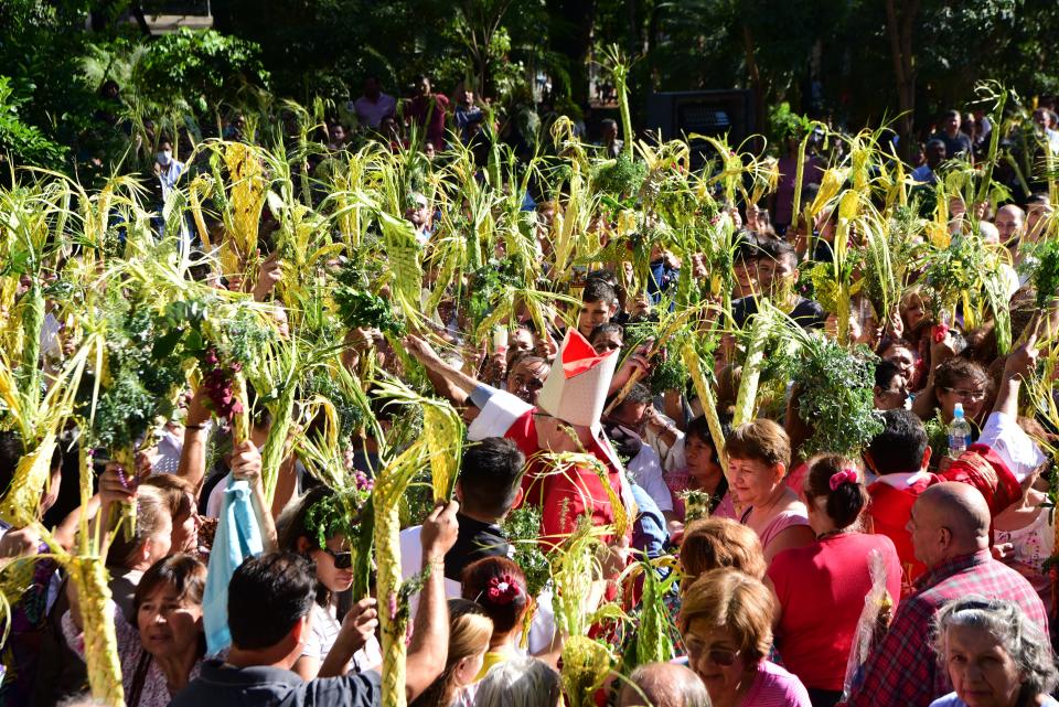 Catholic faithfuls in a Palm Sunday procession in San Lorenzo, in the outskirts of Asuncion, Paraguay on March 24, 2024.