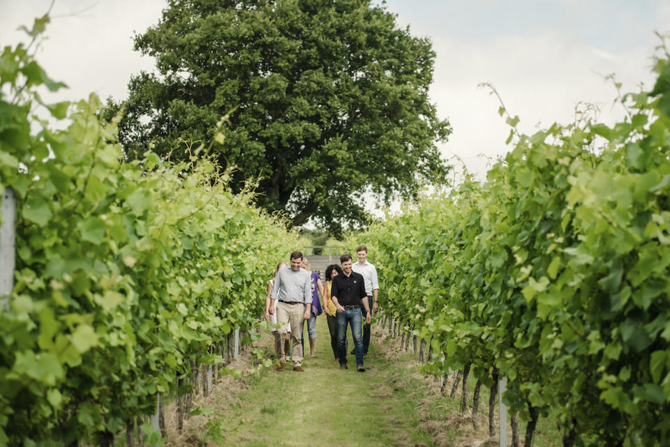 This image provided by Gusbourne wines shows guests on a tour of their vineyard in 2019, in Kent, England. (Gusbourne via AP)