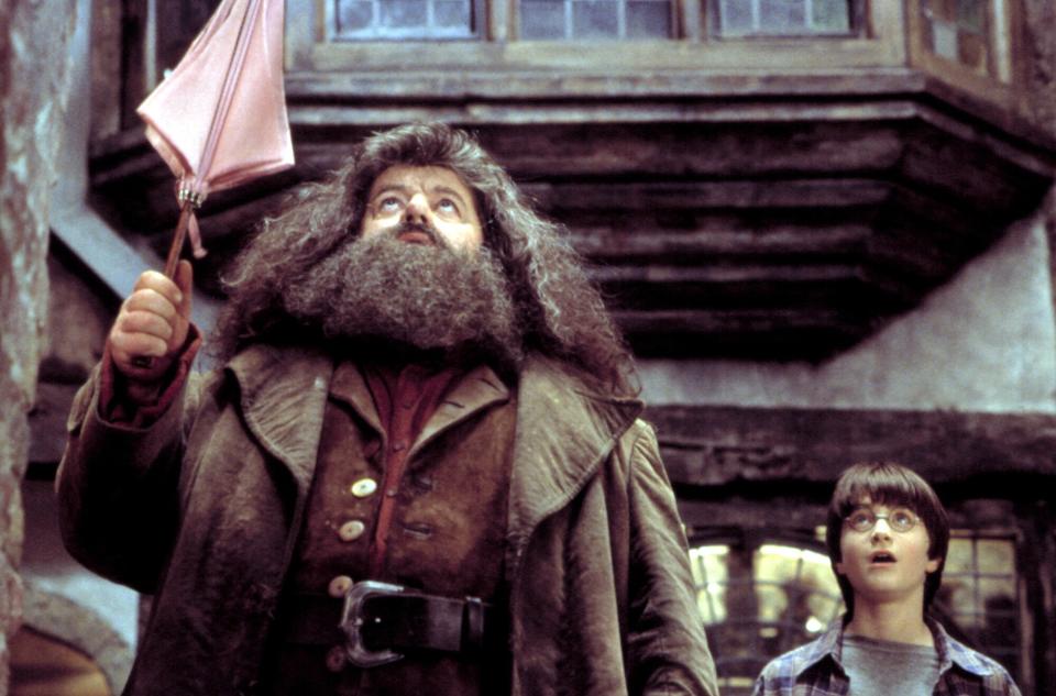 HARRY POTTER AND THE SORCERER'S STONE, Robbie Coltrane, Daniel Radcliffe, 2001